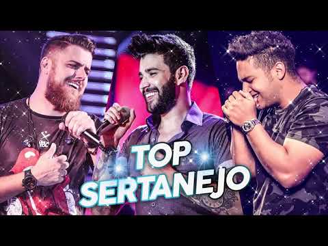As Melhores do Sertanejo Universitário 2019 Top Sertanejo 2019 Mais Tocadas - (Lançamentos 2019)