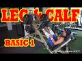 LEG N CALF BASIC 1