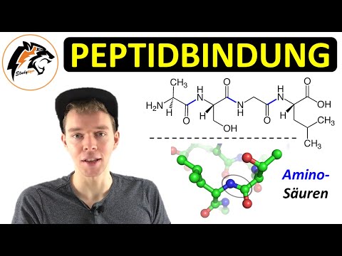 Peptides & Peptide Bonds (Amino Acids) | Chemistry Tutorial