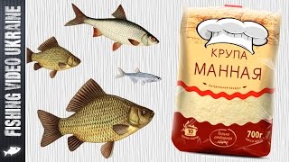 Убойная манка для рыбалки