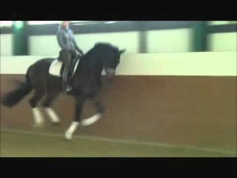 4j.WallachV.F..Fidertanz