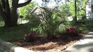preview picture of video 'Curbside Garden - Extreme Landscaping in Minnesota'