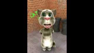 Talking Tom sings Pusong Bato