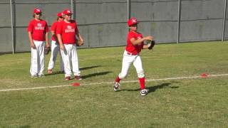Groundball Quick Catch