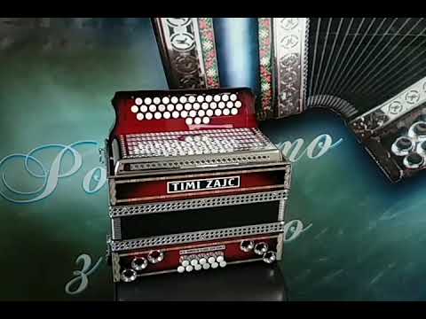 HARMONIKA TIMI ZAJC - PLAZNIK STIMA