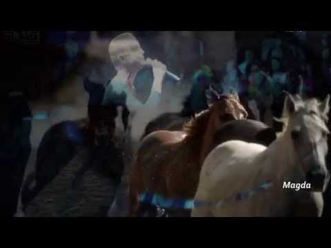 Natalia Sikora__ Konie