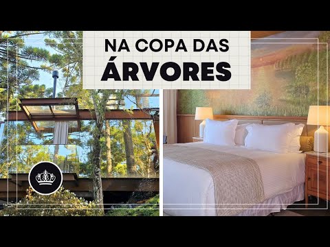 ARCHITECTURE in the FOREST in Campos do Jordão!