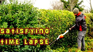 Cutting an Overgrown Hedge using a Battery Trimmer | Stihl HLA 56 | UK