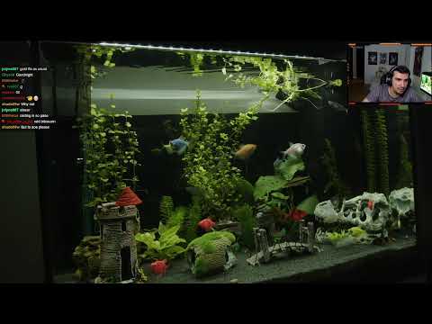 KPMM 3rd place vs Wam01 Bo5 then more tournament games?!