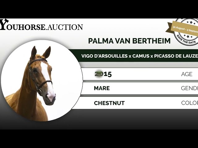 Palma van Bertheim trainingsvideo
