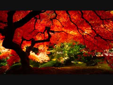 Lunarave mix by Kiko