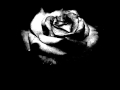 Sturm und Drang - Light years apart [LYRICS ON ...