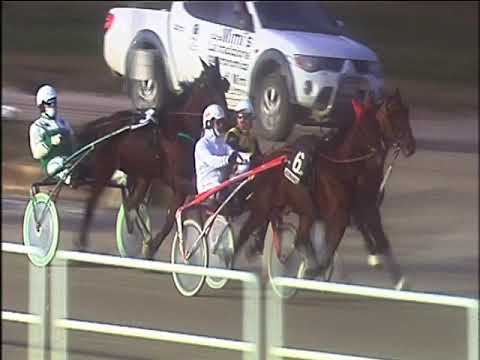 Trotto 17/01/2020 - 6ª corsa