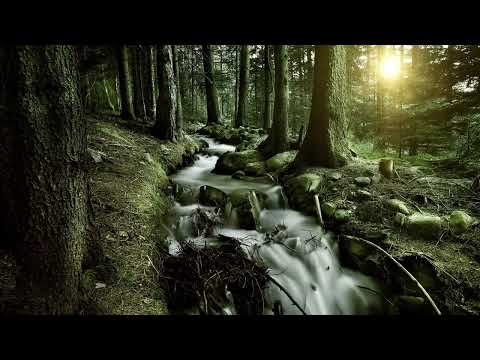 Norway  AMAZING - Horizon view bath with Beautiful nature - 4K VideoHD