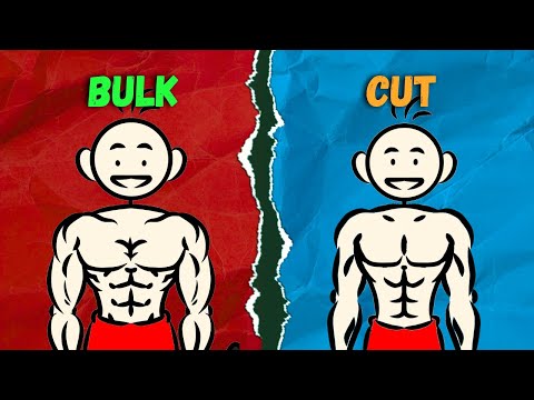 The Real Difference Between Bulking and Cutting Explained | Fitness Animated