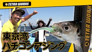 【バチコンアジング】数・サイズが狙えるバチコンアジング!in東京湾
