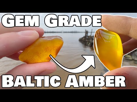 Lets cut and polish my best amber find from the last trip!