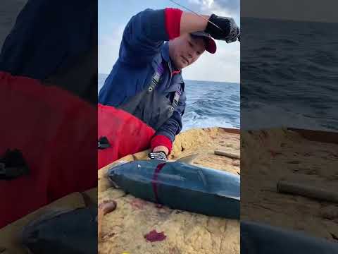 99% of anglers don't know this game changing method