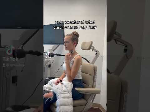 What Vocal Cords Look Like