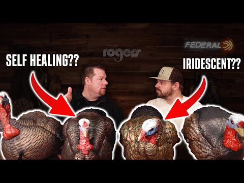 We compared THE BEST Jake Turkey Decoys