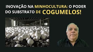 COMO TESTAR SUBSTRATOS PARA MINHOCULTURA?