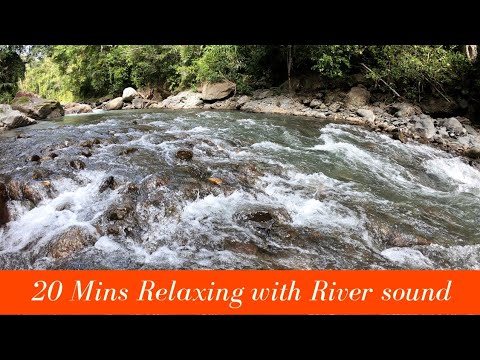 20 Mins -River sound for sleeping, relaxing, meditation or studying- FHD 1080p|| Jungle Infinity