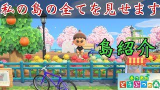 【島紹介】私の島の全てを見せます。 【あつまれ どうぶつの森】