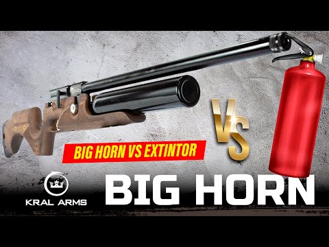 Kral Big Horn vs Extintor - 80 Joules no Calibre 5.5 (.22) Consegue Furar um Extintor?