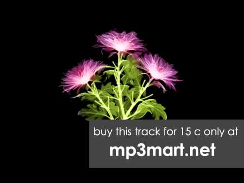 Fler - Halt Mich Fest Feat. Reason