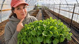 We Might Move Before the Harvest… So What Should I Plant?