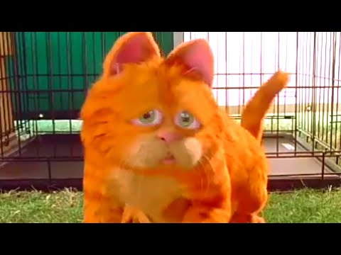 Garfield Foge De Uns Cachorros | Garfield: O Filme (2004) DUBLADO HD
