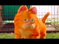 Garfield Foge De Uns Cachorros Garfield O Filme 2004 DUBLADO HD