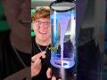 This Machine Makes REAL Tornadoes