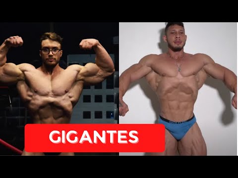 ZANCANELLI COM SHAPE INCRÍVEL - RAMON ATUALIZAÇÃO - BR NO OLYMPIA 🇧🇷