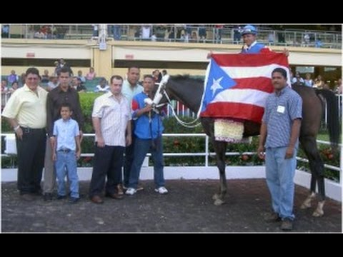 COORDINADORA - Copa Dama Del Caribe 2004
