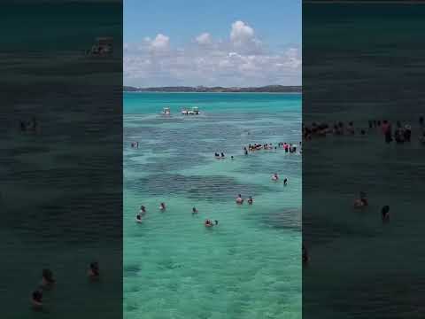 #alagoas #maragogi #nordeste