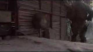 Arnold Schwarzenegger - knock knock