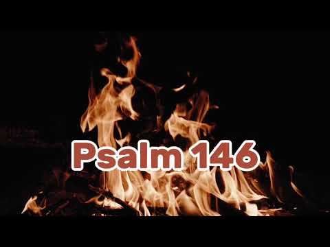 Psalm 146
