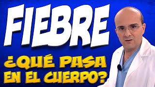 FIEBRE - ¿Qué pasa dentro del cuerpo de las personas que la padecen?