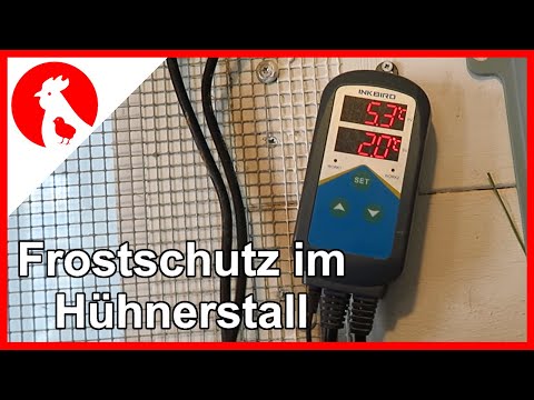 026 Stallheizung / Frostwächter im Hühnerstall - Jensman and the Huhns 🐔