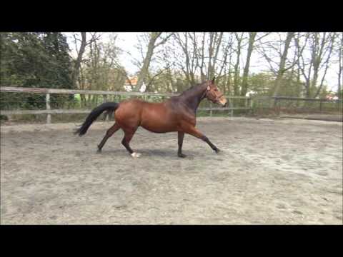 Londontime x Der Lord