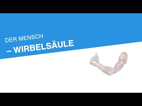 Bursitis Symptome und Behandlung von Kniegelenk zu Hause Vorbereitung für die in das Kniegelenk Eingabe