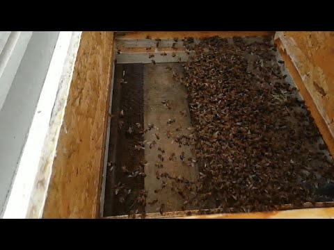 Ух ты, не ожидал!