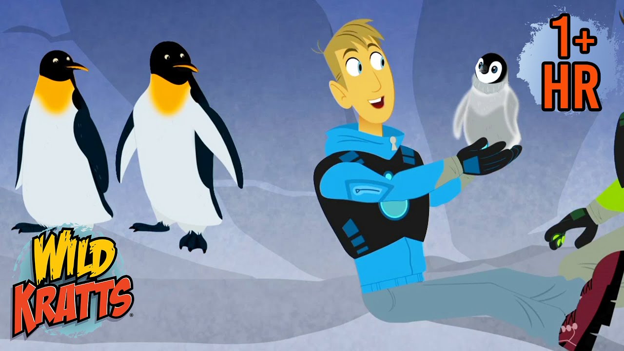 Penguins Rescued from the Arctic | Penguin Awareness Day (Jan 20) | Wild Kratts