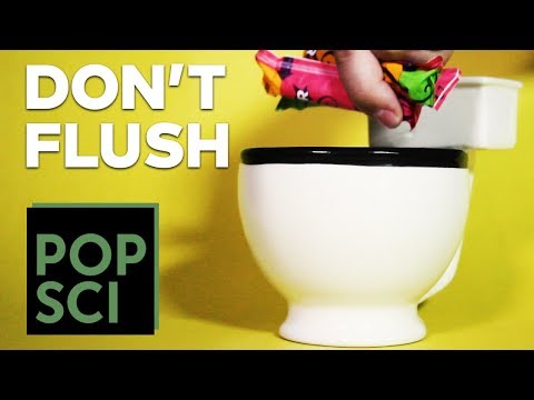 Never, EVER Flush These Things Down a Toilet