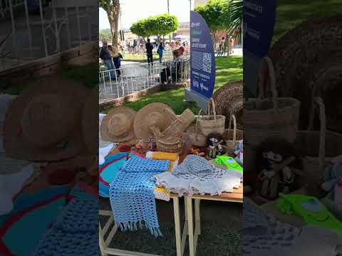 7 de Febrero Valera estado Trujillo Paz y Tranquilidad #Venezuela