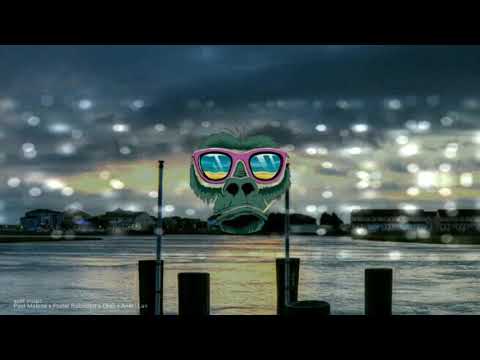 post malone x porter robinson x ekali x anki - language falls apart