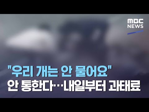 아이콘