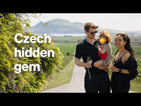 Czech wine: Europe's best kept secret? (Travel itinerary)