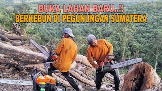 Download lagu BUKA LAHAN BARU..!! BERKEBUN DI PEGUNUNGAN SUMATERA mp3 Download lagu BUKA LAHAN BARU..!! BERKEBUN DI PEGUNUNGAN SUMATERA mp3